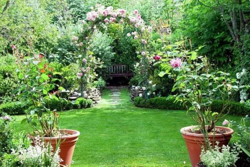 Garden project 2