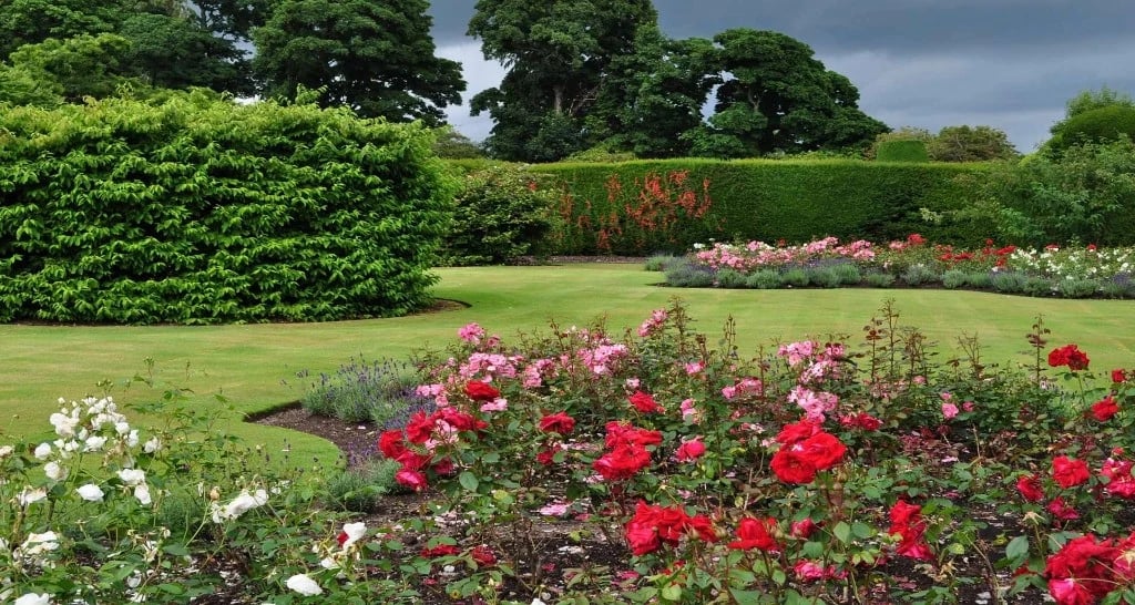 Well maintained garden landscape